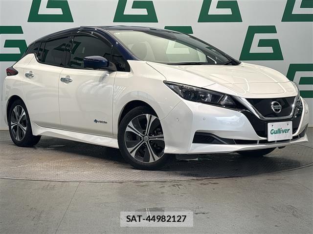 Nissan LEAF 2018 8929075-0