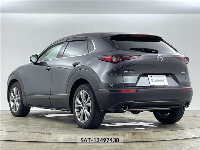 Mazda CX-30 2020 8930737-10