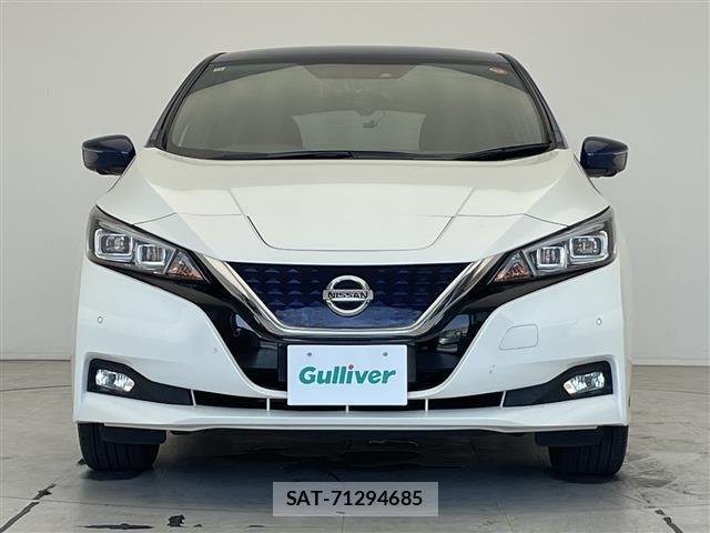 Nissan LEAF 2018 8748188-22