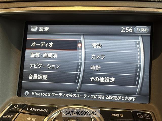 Nissan SKYLINE 2007 8769484-18