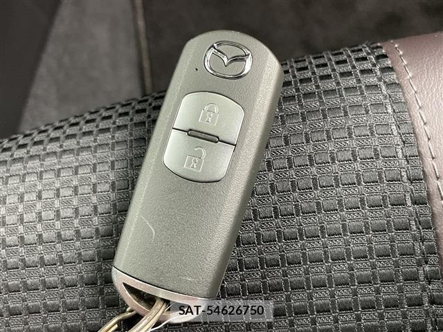 Mazda AXELA 2016 8678431-20