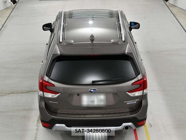 Subaru FORESTER 2023 8689436-8