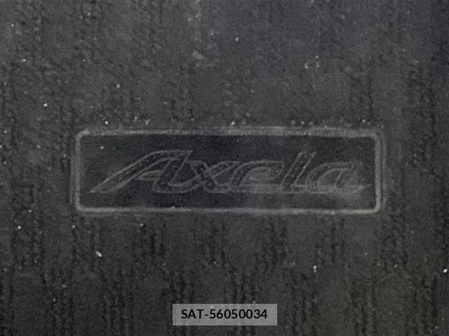 Mazda AXELA 2010 8719013-21