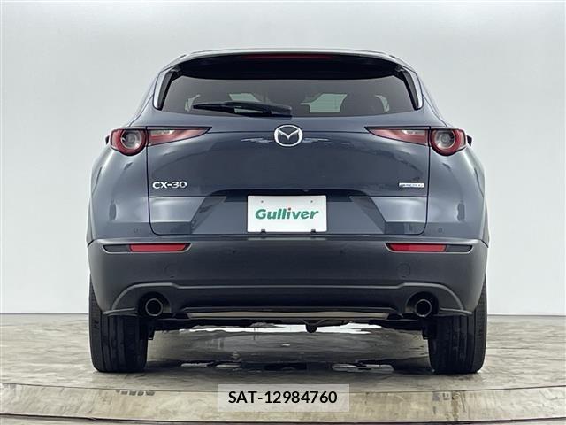 Mazda CX-30 2021 8748266-5
