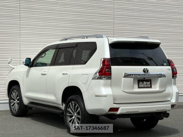 Toyota LAND CRUISER PRADO 2019 8676418-21