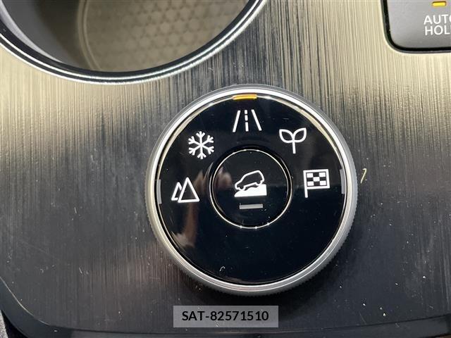 Nissan X-TRAIL 2024 8762838-11