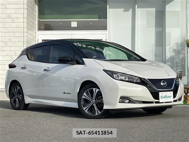 Nissan LEAF 2018 8675748-0