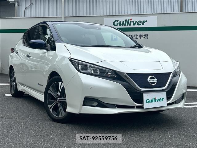 Nissan LEAF 2020 8675759-0