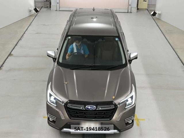Subaru FORESTER 2022 8895926-7