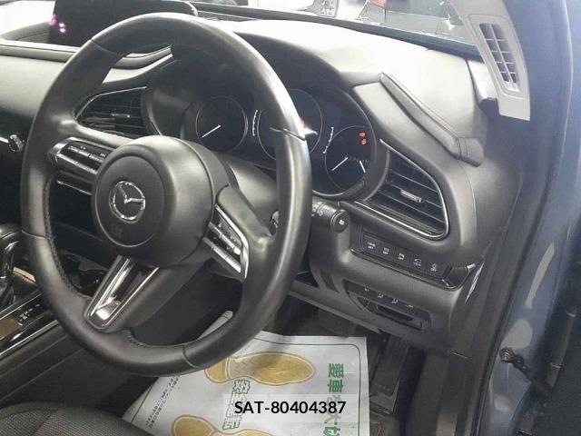 Mazda CX-30 2022 8825612-9