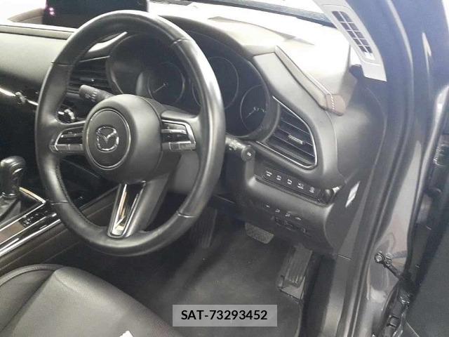 Mazda CX-30 2023 8679395-9