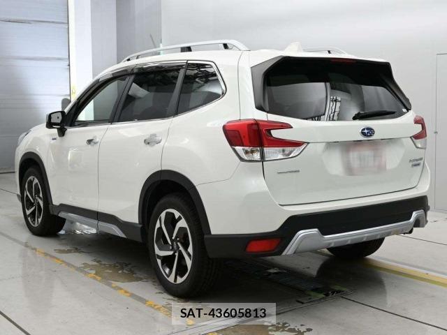 Subaru FORESTER 2022 8689465-6