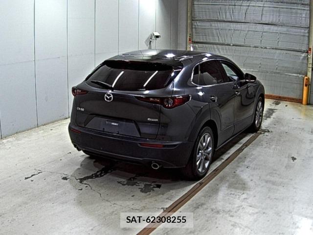 Mazda CX-30 2020 8679391-5