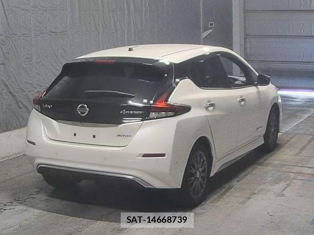 Nissan LEAF 2019 8863249-1