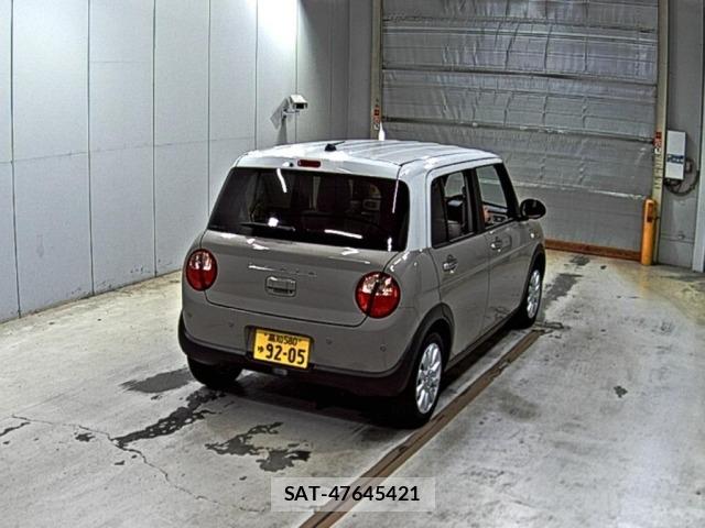 Suzuki LAPIN 2025 8775780-5