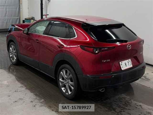 Mazda CX-30 2020 8679393-1