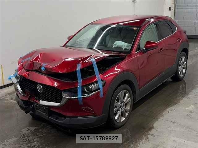 Mazda CX-30 2020 8679393-4