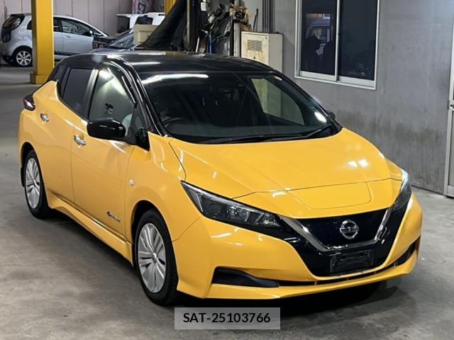 Nissan LEAF 2018 8717250-4