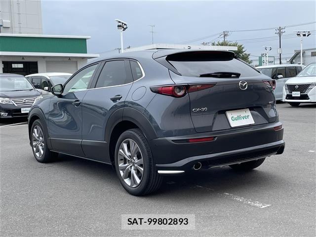 Mazda CX-30 2020 8696179-13